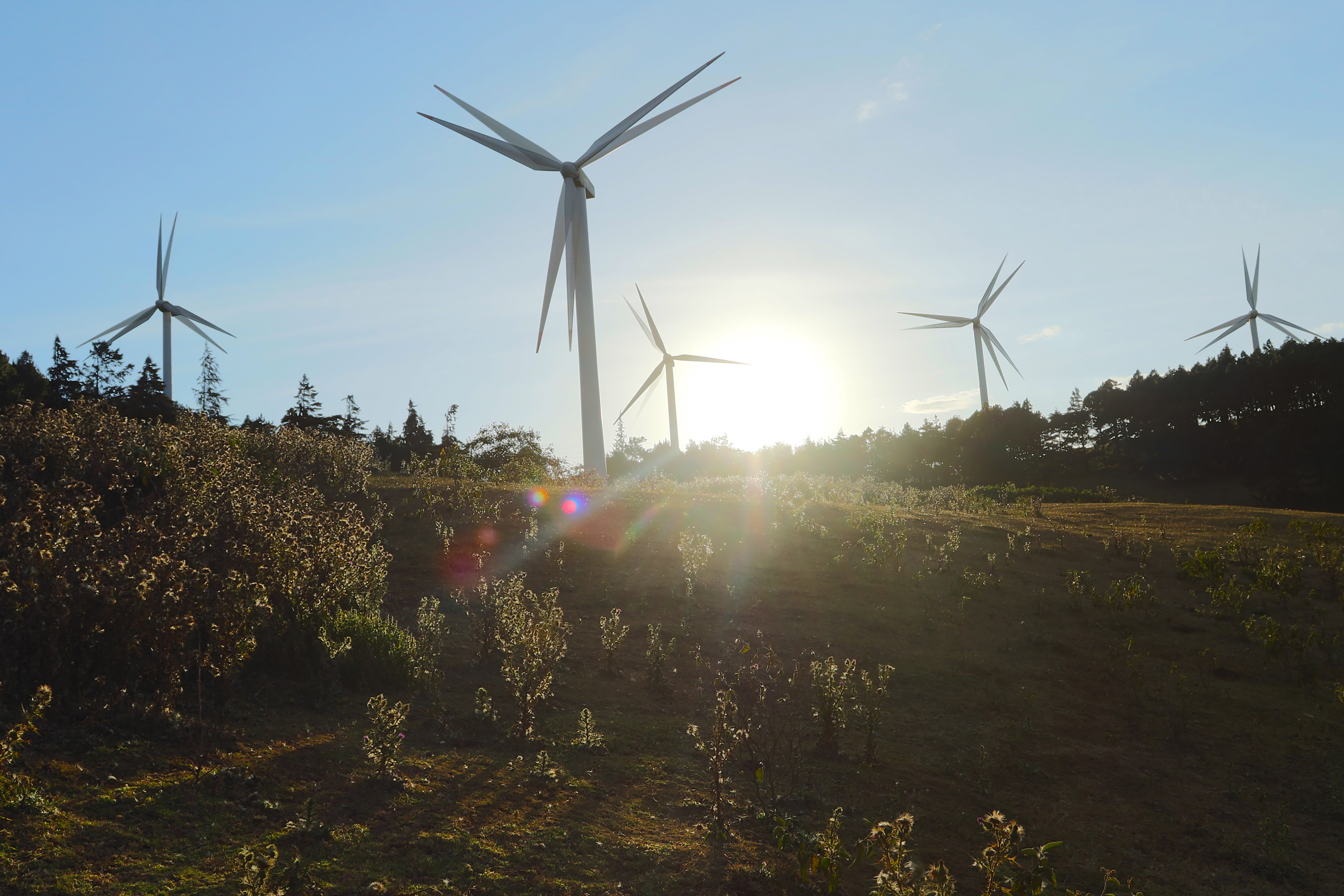 In defence of repositories